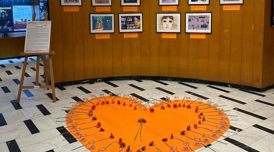 marsul solidaritatii